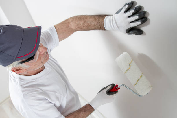 Best Water Damage & Mold Remediation  in Dillon, SC