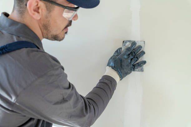 Best Comprehensive Air Testing for Mold Contaminants  in Dillon, SC