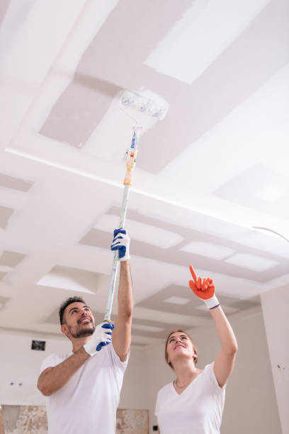 Dehumidification Services in Dillon, SC