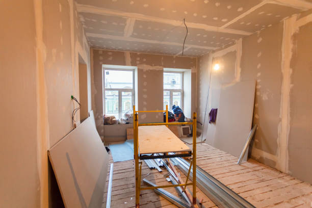 Best Industrial Mold Remediation  in Dillon, SC